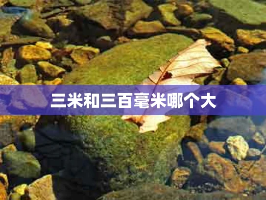 三米和三百毫米哪个大