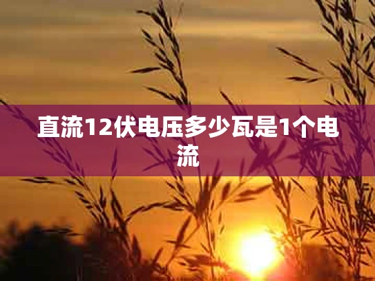 直流12伏电压多少瓦是1个电流