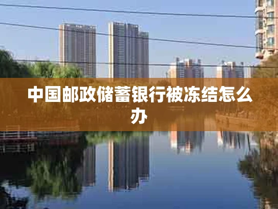中国邮政储蓄银行被冻结怎么办