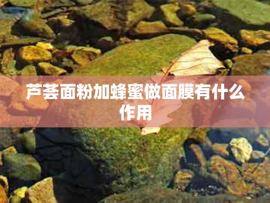 芦荟面粉加蜂蜜做面膜有什么作用