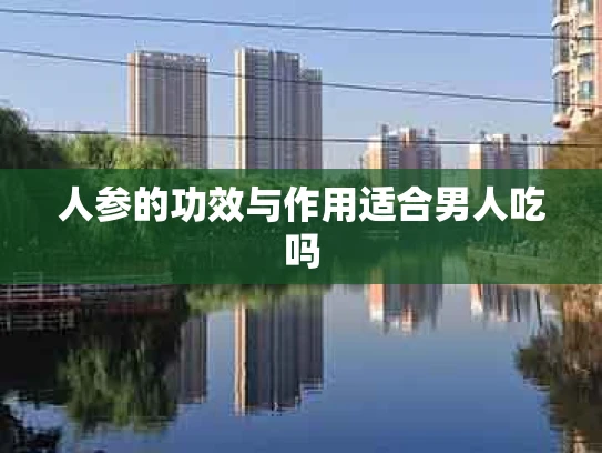人参的功效与作用适合男人吃吗