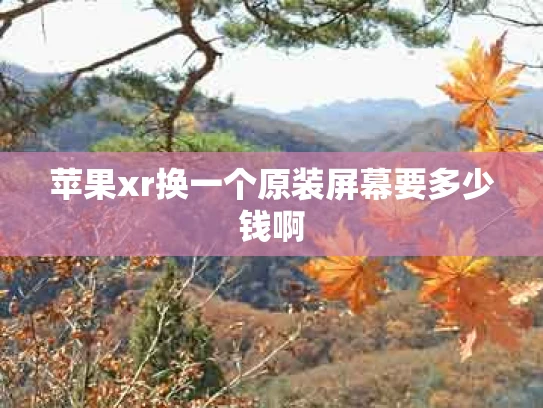 苹果xr换一个原装屏幕要多少钱啊