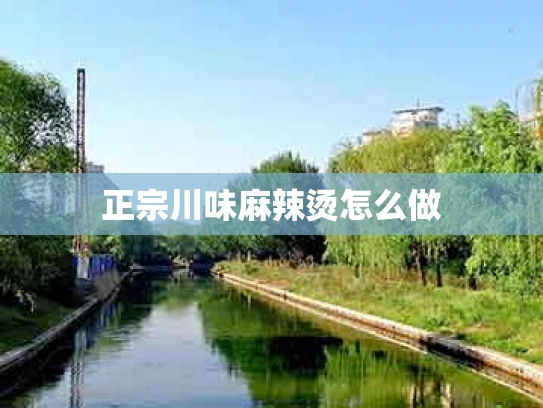 正宗川味麻辣烫怎么做