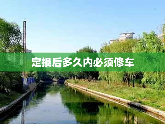 定损后多久内必须修车