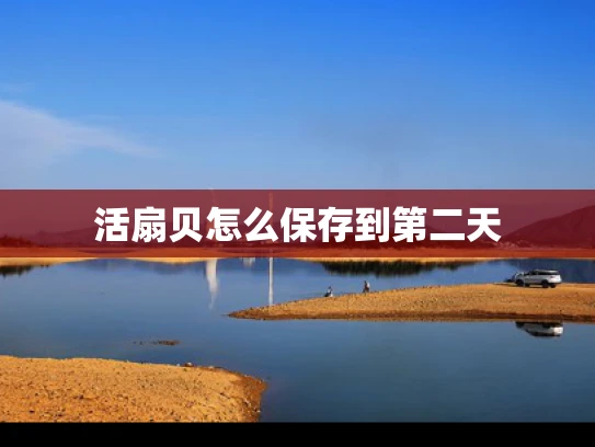 活扇贝怎么保存到第二天