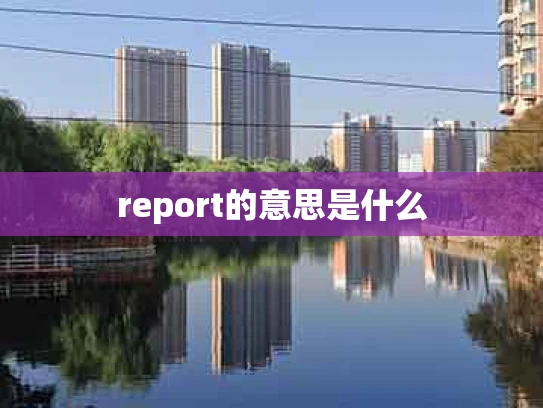 report的意思是什么