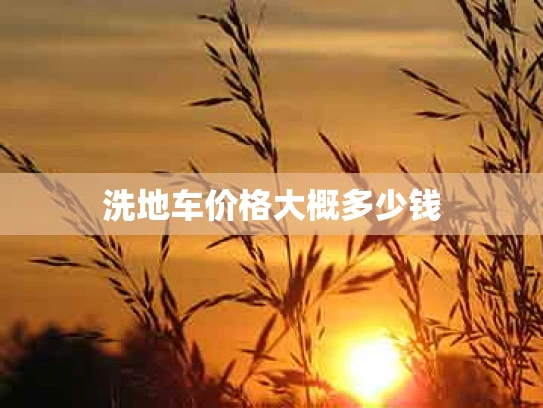 洗地车价格大概多少钱