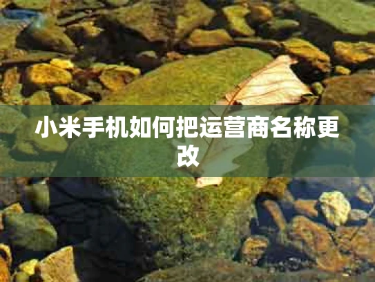 小米手机如何把运营商名称更改