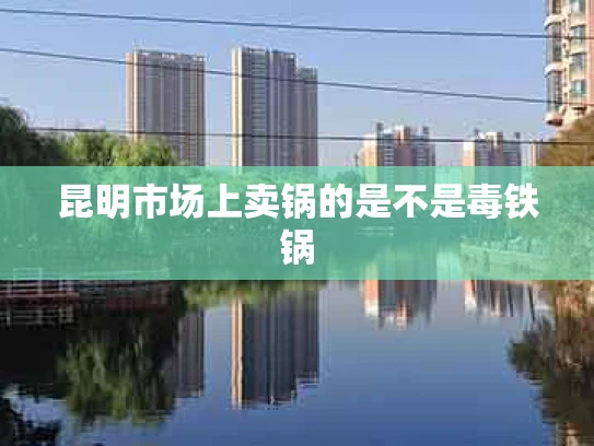 昆明市场上卖锅的是不是毒铁锅