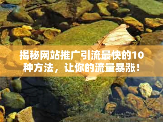 揭秘网站推广引流最快的10种方法，让你的流量暴涨！