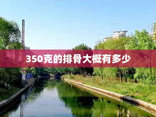 350克的排骨大概有多少