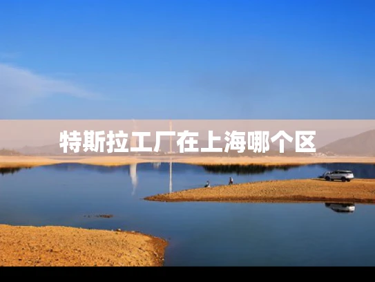 特斯拉工厂在上海哪个区