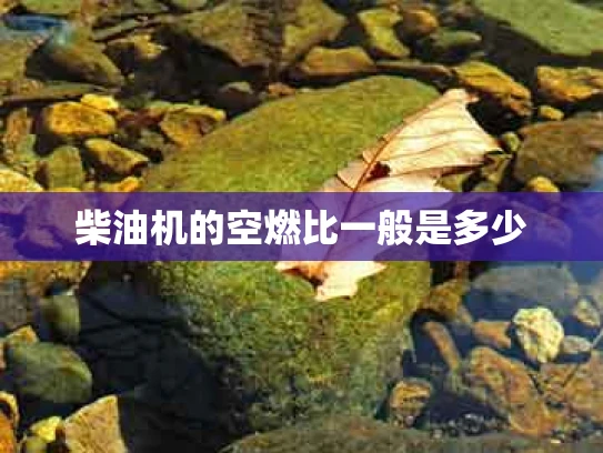 柴油机的空燃比一般是多少