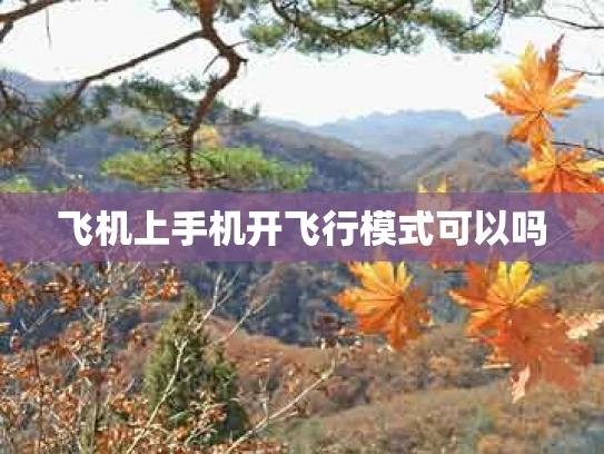 飞机上手机开飞行模式可以吗