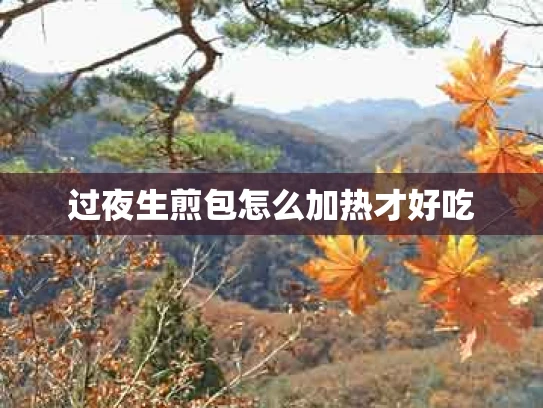 过夜生煎包怎么加热才好吃