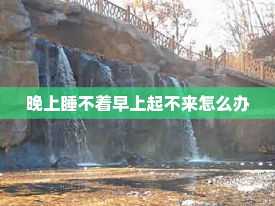 晚上睡不着早上起不来怎么办