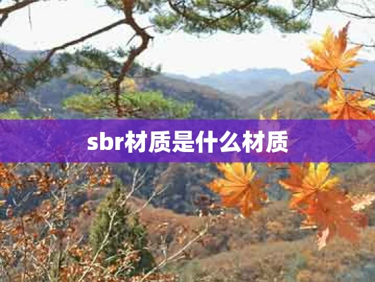 sbr材质是什么材质