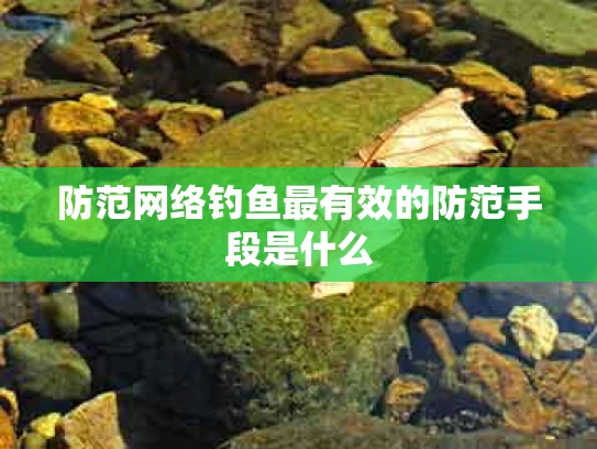 防范网络钓鱼最有效的防范手段是什么