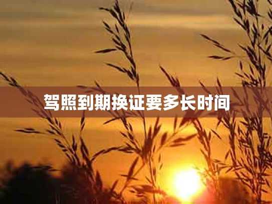 驾照到期换证要多长时间