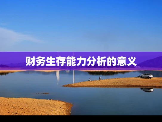 财务生存能力分析的意义