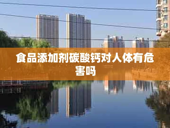 食品添加剂碳酸钙对人体有危害吗