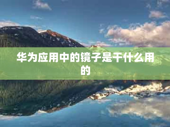 华为应用中的镜子是干什么用的