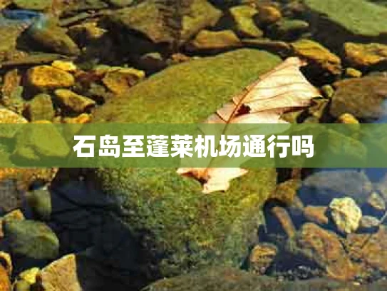 石岛至蓬莱机场通行吗