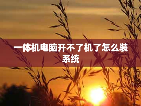 一体机电脑开不了机了怎么装系统