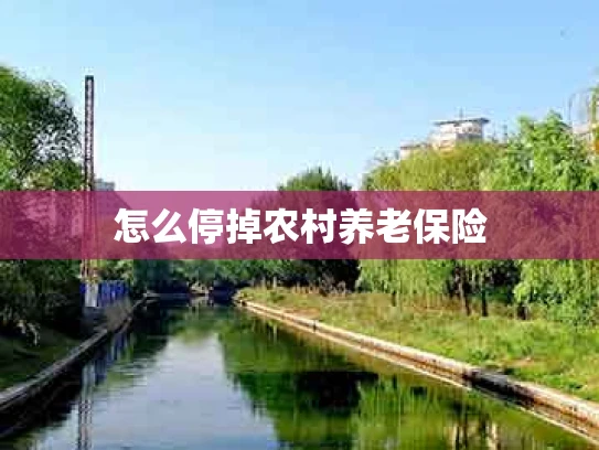 怎么停掉农村养老保险