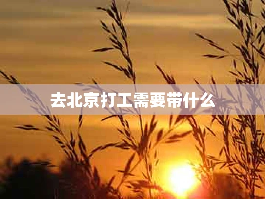 去北京打工需要带什么