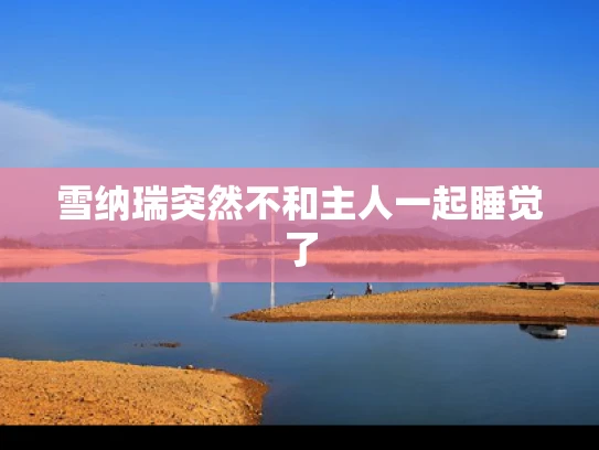 雪纳瑞突然不和主人一起睡觉了
