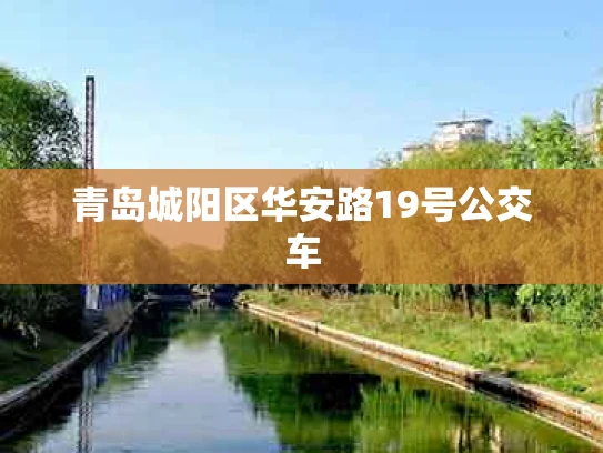 青岛城阳区华安路19号公交车