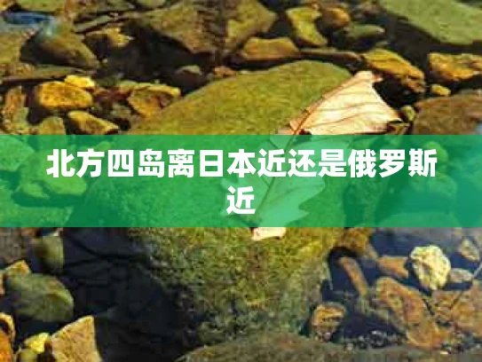 北方四岛离日本近还是俄罗斯近