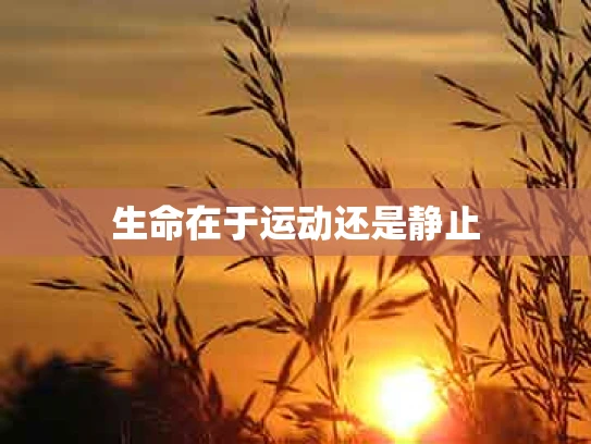 生命在于运动还是静止