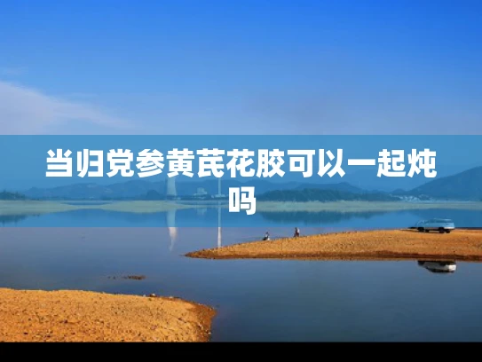 当归党参黄芪花胶可以一起炖吗