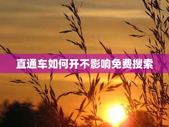 直通车如何开不影响免费搜索