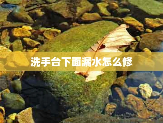 洗手台下面漏水怎么修