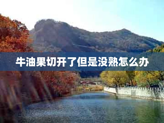 牛油果切开了但是没熟怎么办