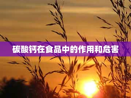 碳酸钙在食品中的作用和危害