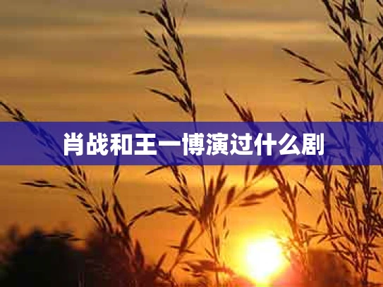 肖战和王一博演过什么剧