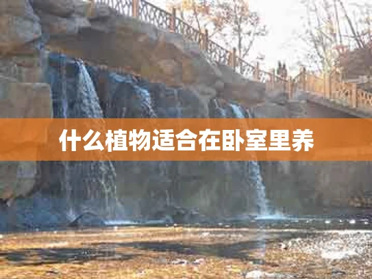 什么植物适合在卧室里养