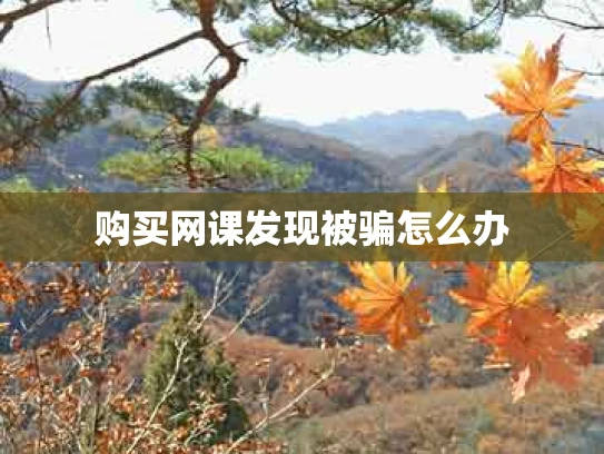 购买网课发现被骗怎么办