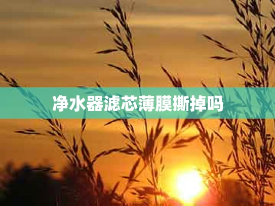 净水器滤芯薄膜撕掉吗