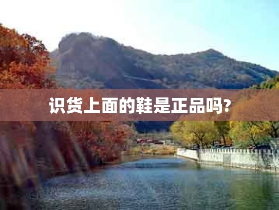 识货上面的鞋是正品吗?