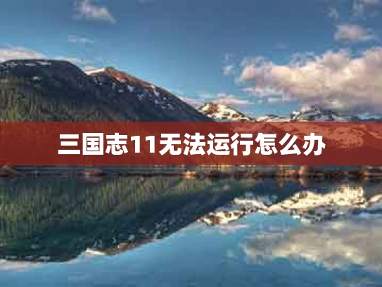 三国志11无法运行怎么办