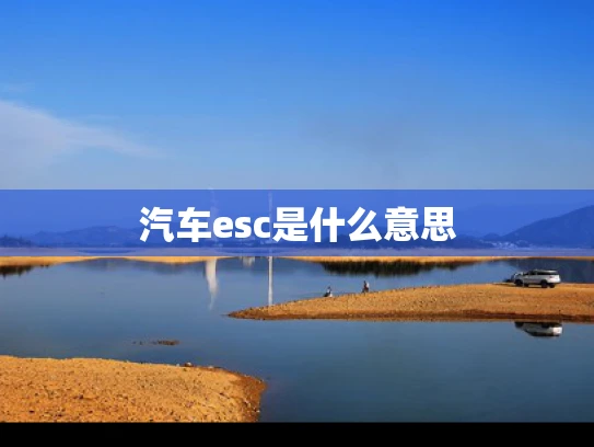 汽车esc是什么意思