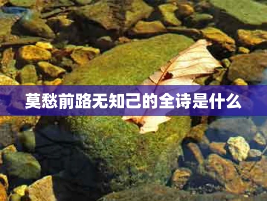 莫愁前路无知己的全诗是什么