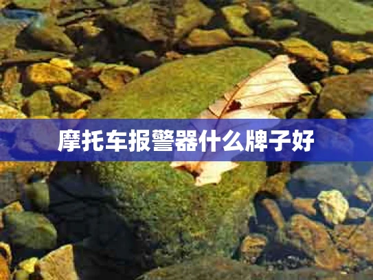 摩托车报警器什么牌子好