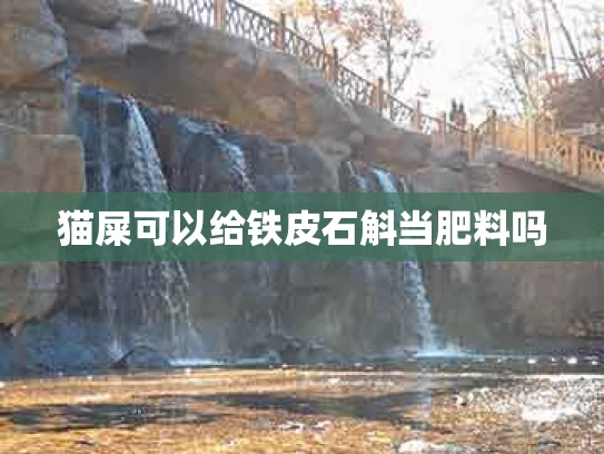 猫屎可以给铁皮石斛当肥料吗