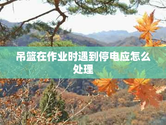 吊篮在作业时遇到停电应怎么处理